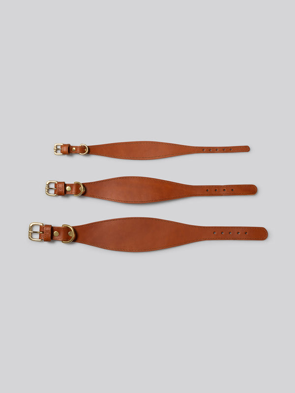 Sighthound collar - Tan - Small